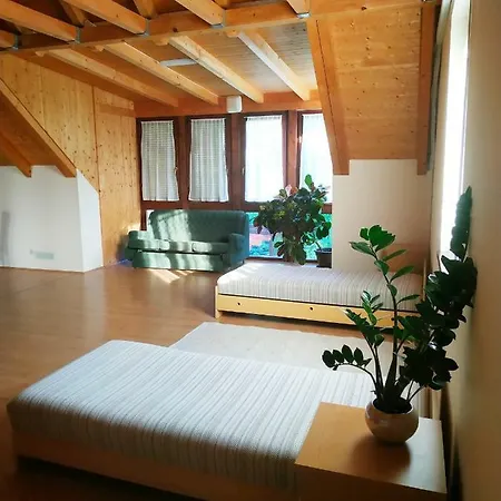 Art Studio Apartman Lejlighed *