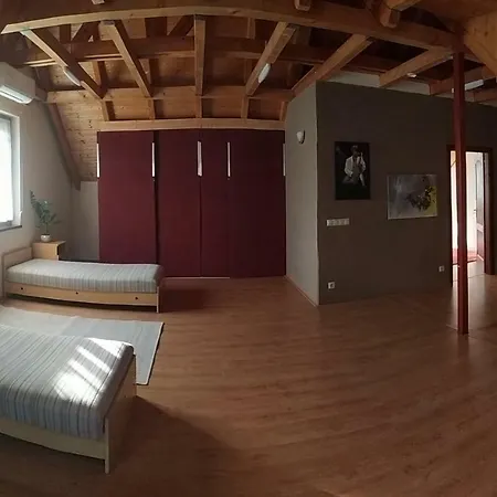 Lejlighed Art Studio Apartman Veszprém